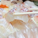 주차28 | 가락시장 횟집 형제수산 도다리 맛집 줄무늬전갱이 모듬회 후기