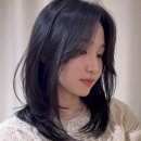 보라매동-9 이미지