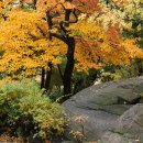 솔밭공원 농구장 이미지