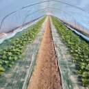 화니농장 이미지