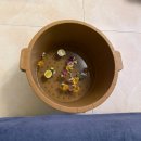 [단체]변신해 가면 | [해외여행/다낭/마사지] 다낭 미케비치 근처 마사지샵 추천 '하나 스파' 다낭 샴푸 추천 / 다낭 타이...