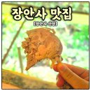 장안사 | 장안사 맛집 장안사 산장, 아이와 함께 즐긴 방갈로 계곡식당 백숙 후기