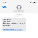 심플루틴
