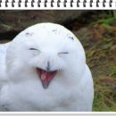 아재푸드 이미지