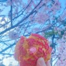강'S