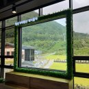 정선 파크로쉬 리조트 뒷편 걸어 3분! 가리왕산 케이블카와 무료 키즈카페 정보와 꿀팁!