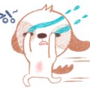 모아이스튜디오 이미지