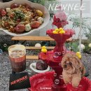 뉴니(NEWNEE) 이미지