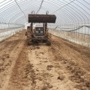 영선농장 이미지