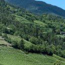 (주)새싹여행 | ‘26 돌로미티 가족 여행 :: Alpe di Siusi 근교 웰니스 호텔 Dolomites Nature Hotel Vigilerhof 후기