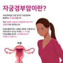 연세편안내과의원 이미지