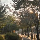 [공지] 청년전용 hf 버팀목 전세대출 | 약 3개월 간의 조마조마 대출 대장정👣(80% hf 4배)