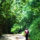 제239차 대전 계족산(트래킹코스) 산행 신청 현황(12/13) 이미지