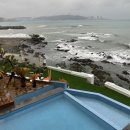 카페멍날 이미지