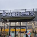 양평애견동반카페 솔직 후기ㅣ시로네 운동장