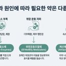 다제스팜 네이버블로그