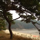 지혜의샘 이미지