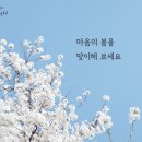 봄날 이미지