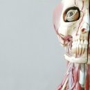 소아유치원 이미지