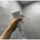 냉정 | 화장실탈취제 T 인간의 냉정한 후기