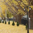 (주)앤틱카페 이미지