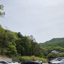 꽃꽃이 고급 | 용인 고기리 대형카페 로이사 카페에서 힐링하다.