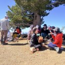 2025.10.11 Mt. Baden Powell 이미지