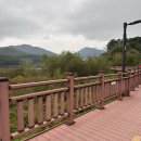 고기마을 호수 | 의왕 백운호수 맛집 [오리마을] 숯불 회전 구이 꼬치 오리고기 맛집