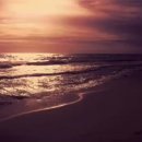 11월 28일 금요일 백지장도 맞들면 낫다. 이미지