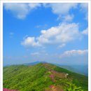 아영면 일대마을 이미지