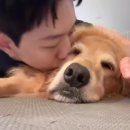 씨앤블루 이미지