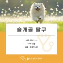 검단이담동물의료센터 이미지