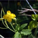 대교경로당 이미지