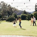 행정사사무소 봄 이미지