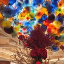 벨라지오 관광호텔 | 라스베가스 스트립 시내관광 (1) 벨라지오 분수쇼/실내정원, 플라밍고 서식지