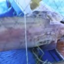 각시민박 이미지