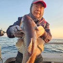 더드림호 이미지