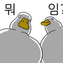 유대경능이누룽지닭오리백숙 이미지