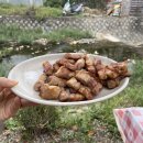 형제농원 이미지