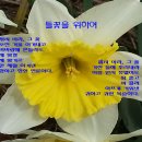 훈장공인중개사사무소 이미지