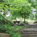 안국사지 이미지