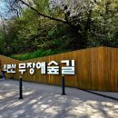 5월17일(일) 우면산 트레킹(꽃비대장) 이미지