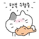 맛조은삼겹 이미지