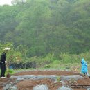 한들농장 이미지