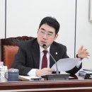 벚꽃로 시정일보