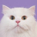 오늘,우리 사진관 노원 이미지