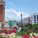 신명타운 이미지