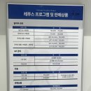 레푸스 | 👣당뇨 있는 엄마 발, 아무 데나 맡기기 무서웠던 이유 (마포 레푸스 후기)👣