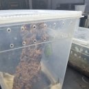 블챌 주간일기 9월 2째주. 한재골 순두부 ,병풍산 커피 루덴스 방문후기