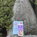 한영약국 | 메리루스 비타민D 구미_비타민젤리_구미비타민_맛있는비타민_비건비타민구미_어린이비타민D 추천